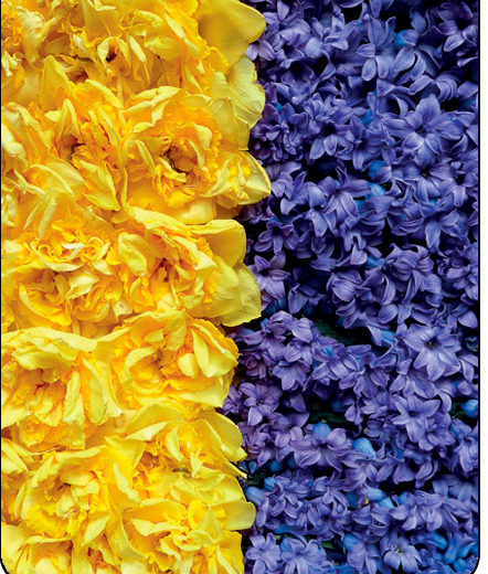 Столы фотопечать цветы  - ФС-118