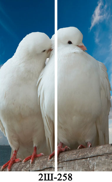 Фотопечать звери - 2Ш-258